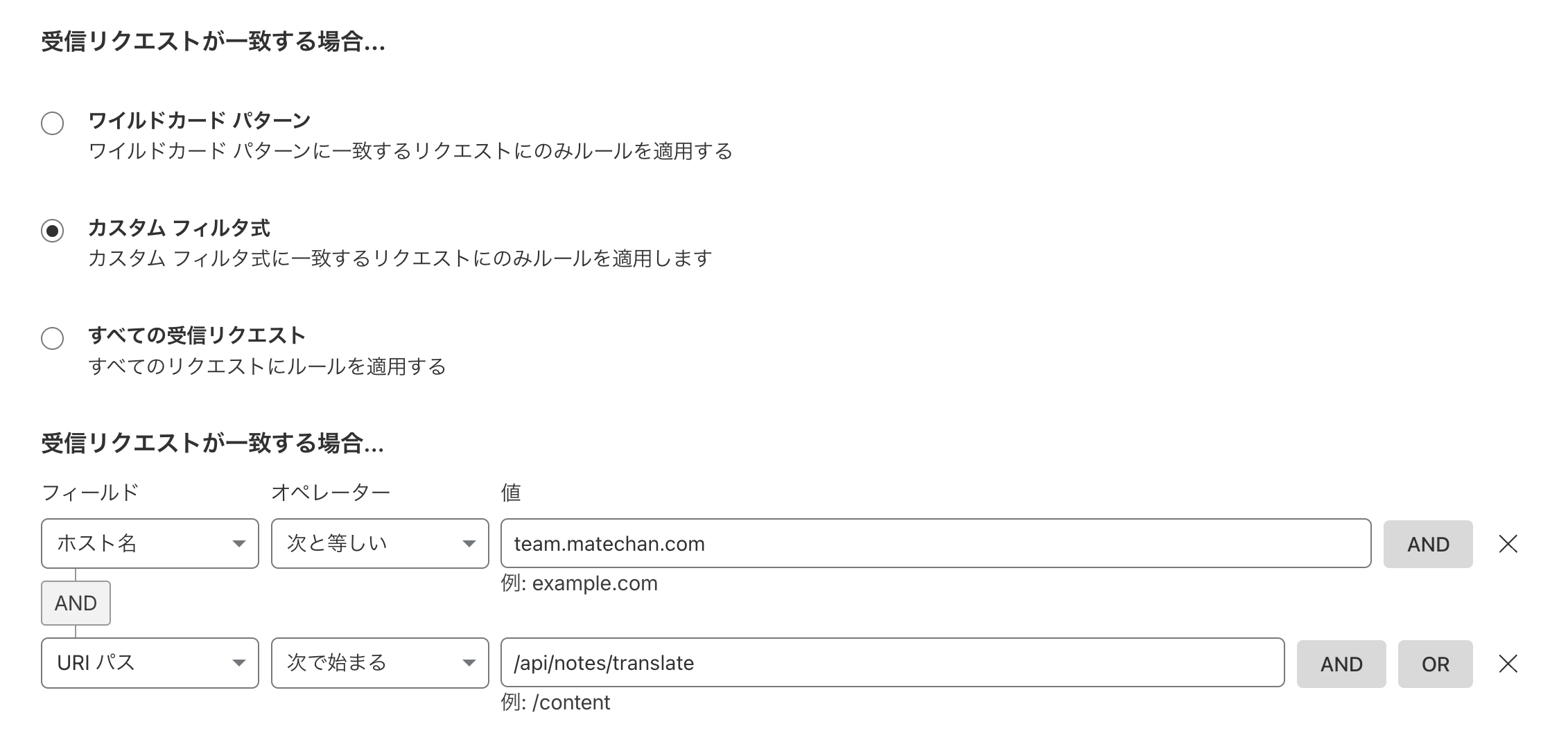 カスタムフィルタの設定