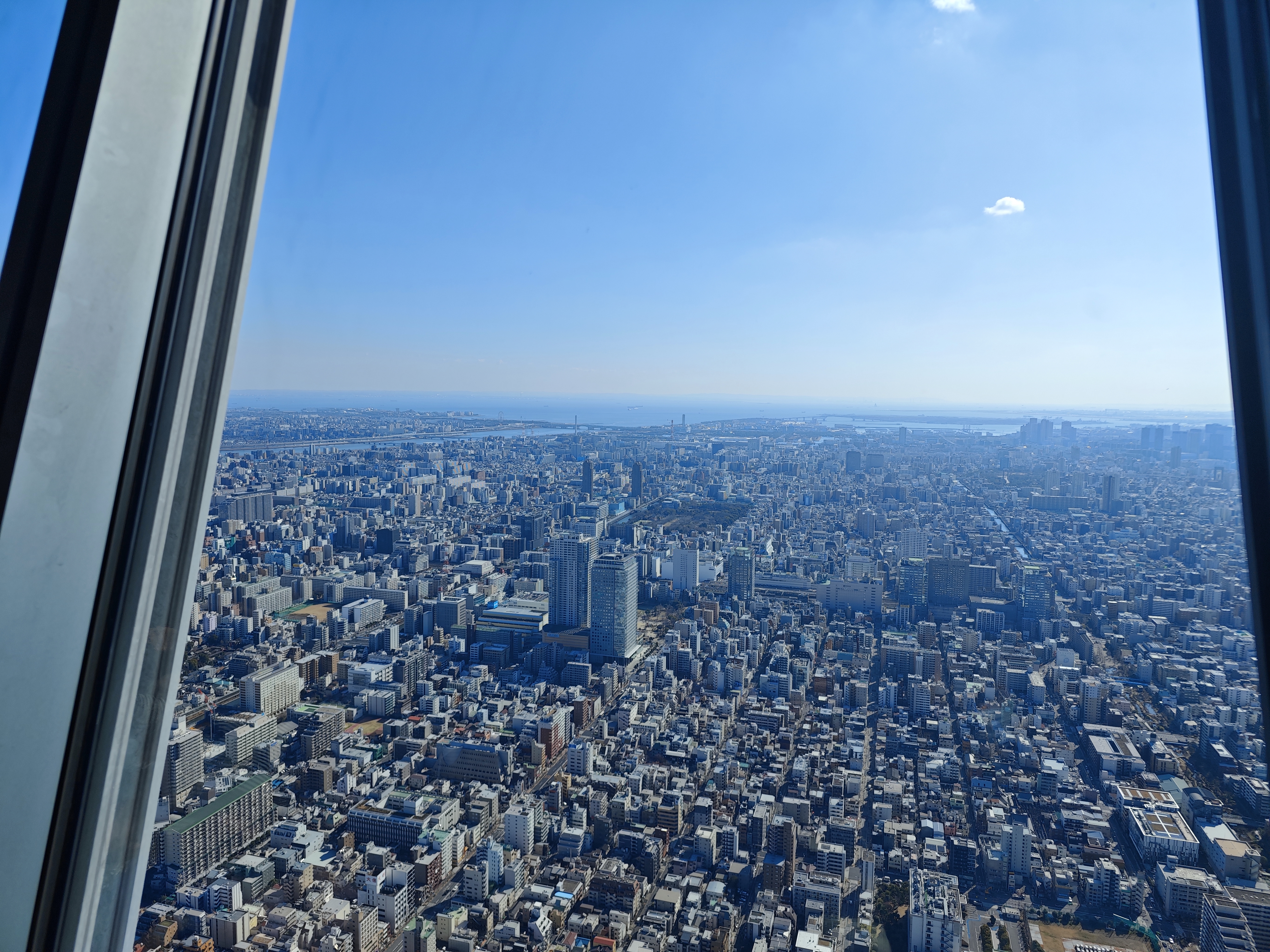 デッキからの風景